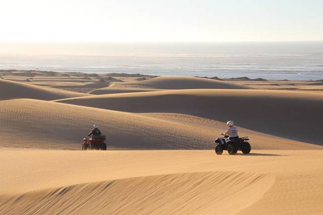 Dunes & Forest