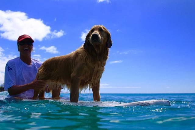 Surf Breaks