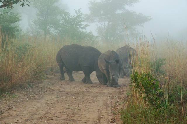 Big Five