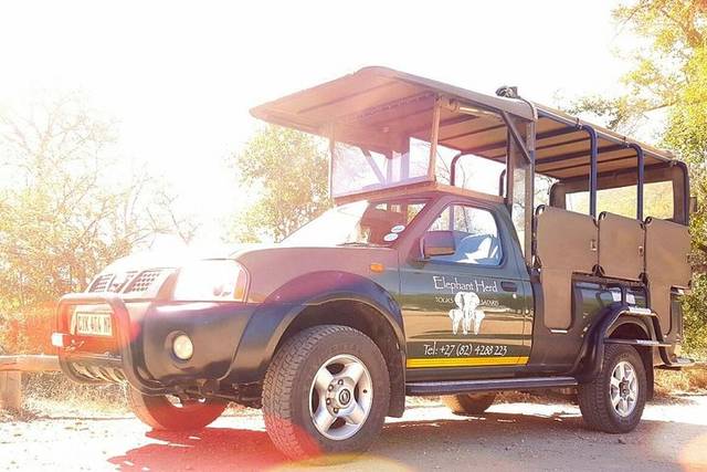 Kruger Day Safari