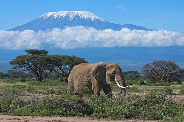 Lake Nakuru