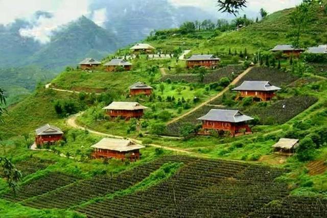 Sapa