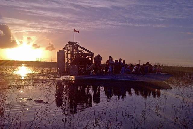 Everglades