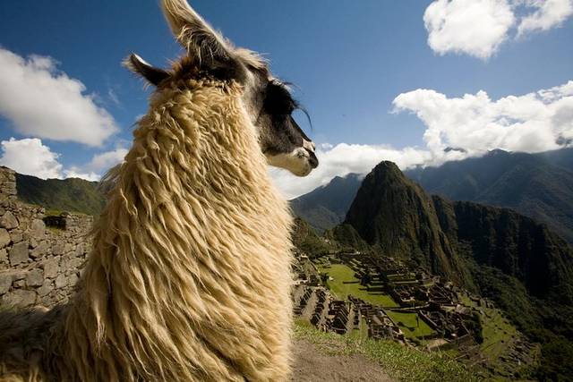 Pisac