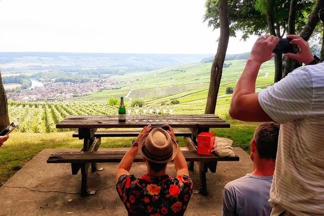 Vineyards