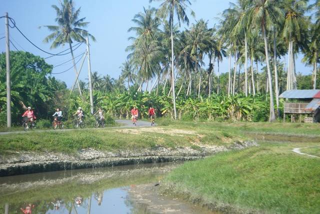 Countryside