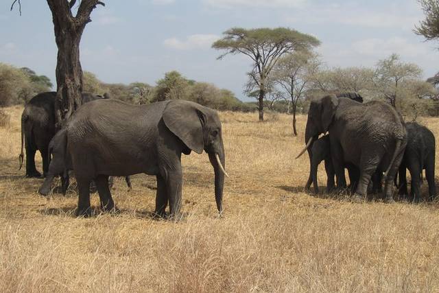 Arusha National Park
