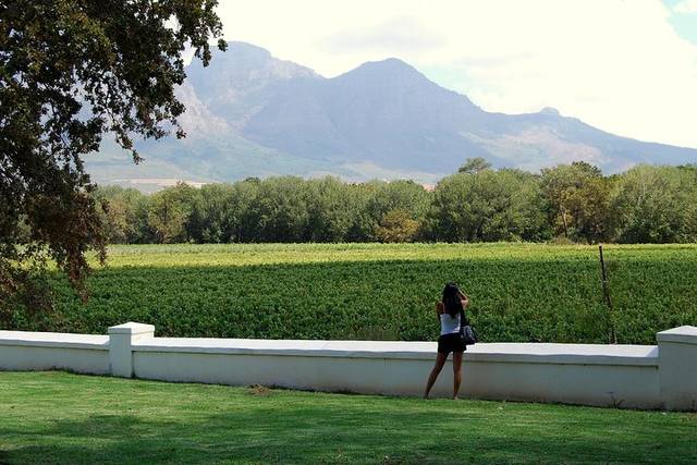 Winelands