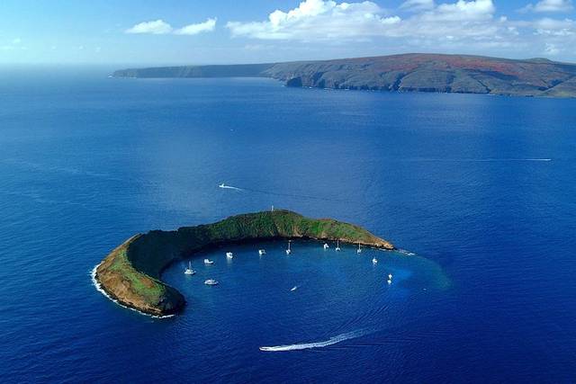 Turtle Reefs
