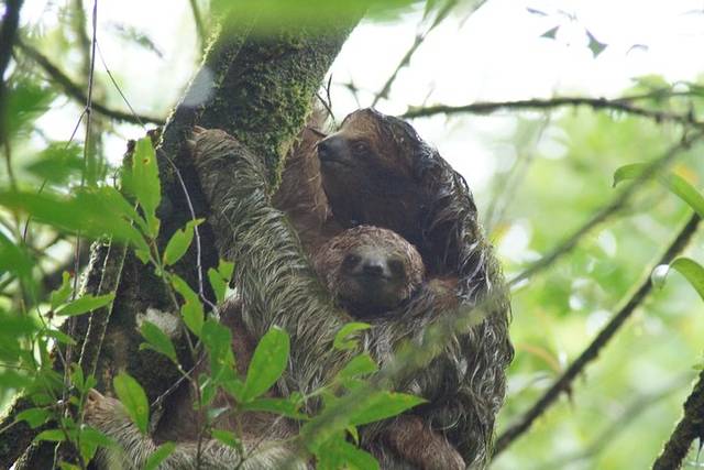 Wildlife Walk