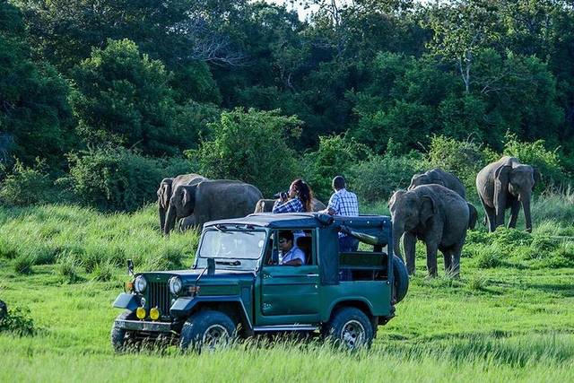 Ella Train