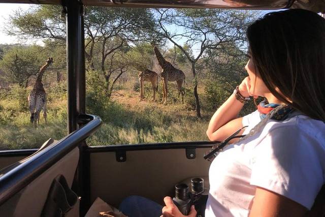 Kruger Safari