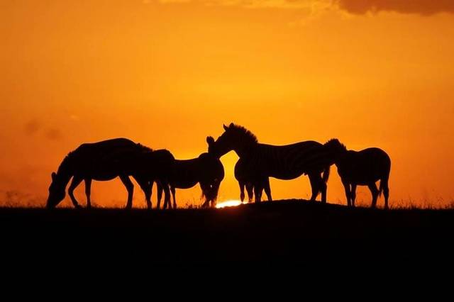 Great Migration