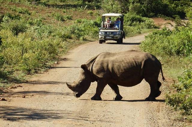 Game Drive