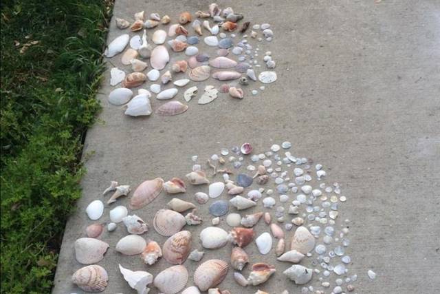 Shell Key