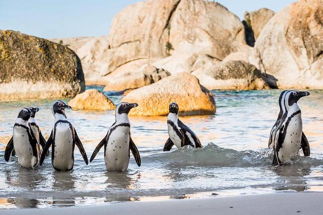 Cape Point