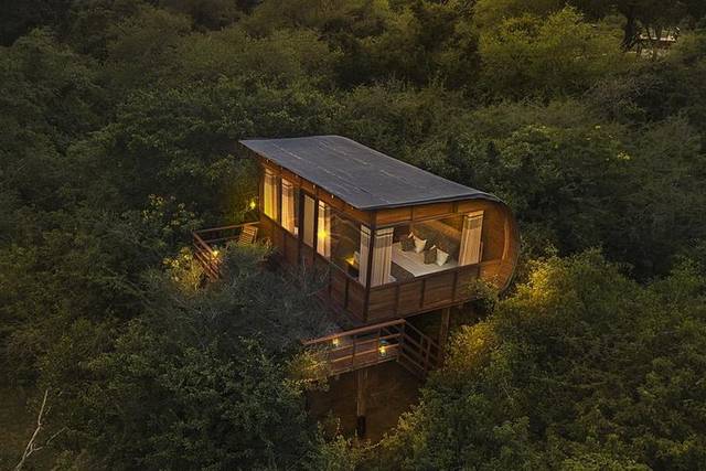 Yala Safari