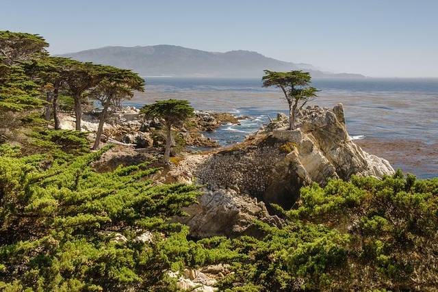 Monterey & Carmel