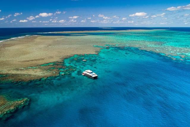 Snorkel & Dive