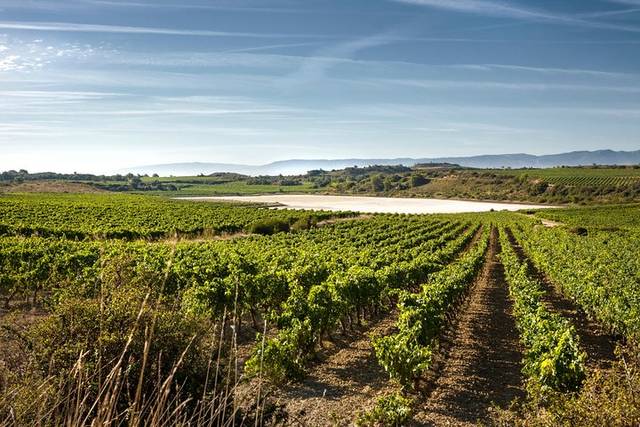 Rioja wine country