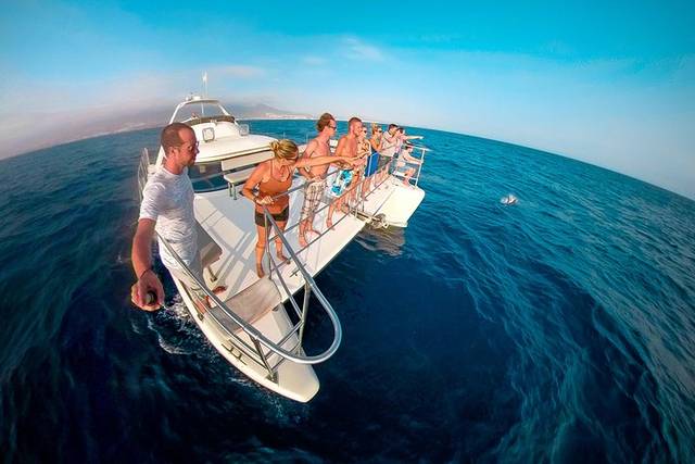 Whale Watching