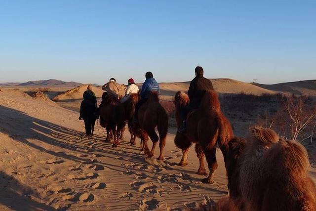 Gobi Desert