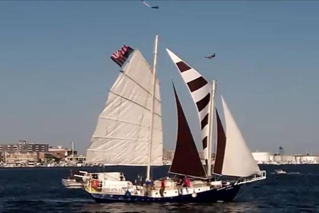 Harbor Cruise
