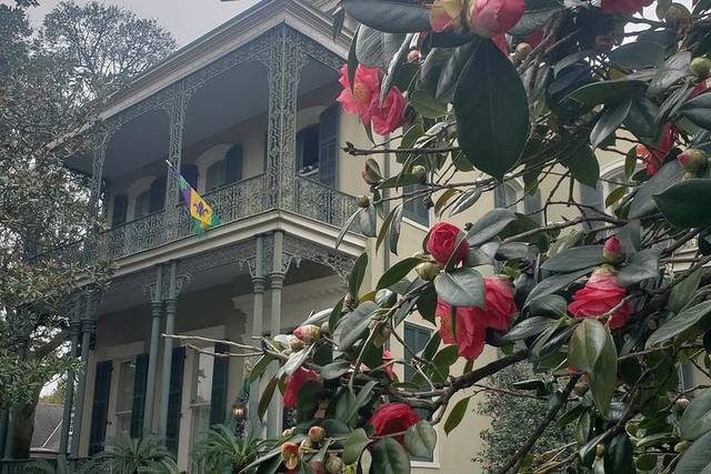 Garden District