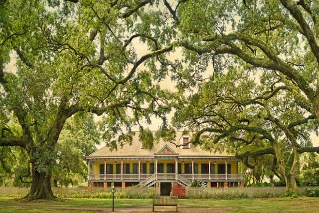 Oak Alley