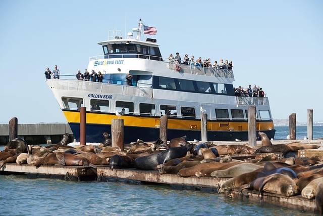 Bay Cruises