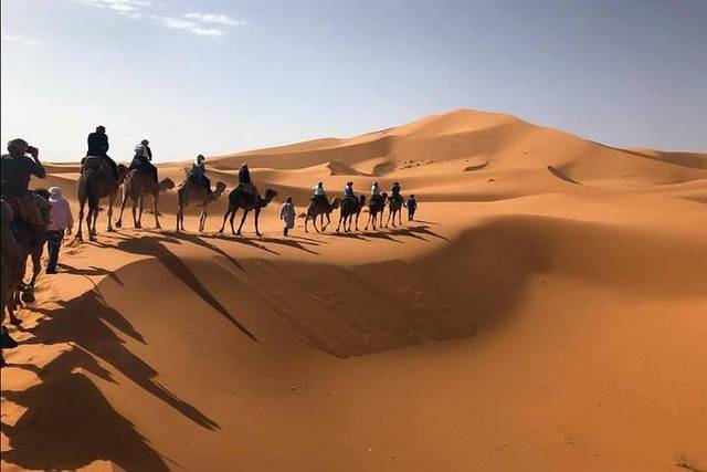 Sahara Desert