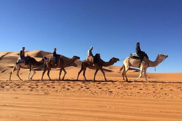 Fez to Marrakech