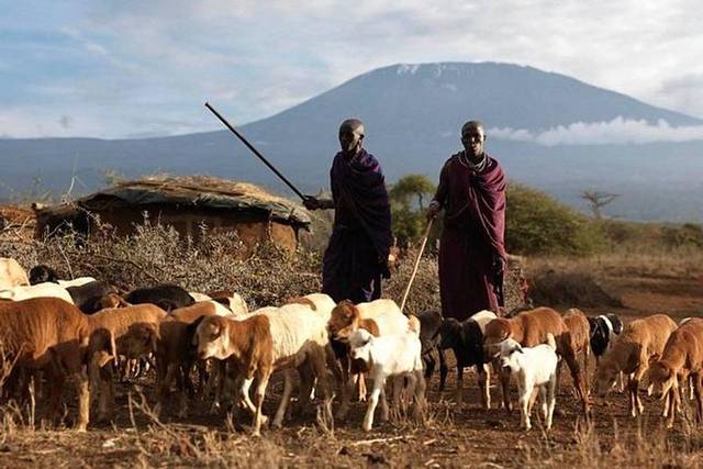 Amboseli