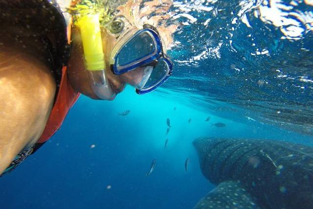 Cozumel