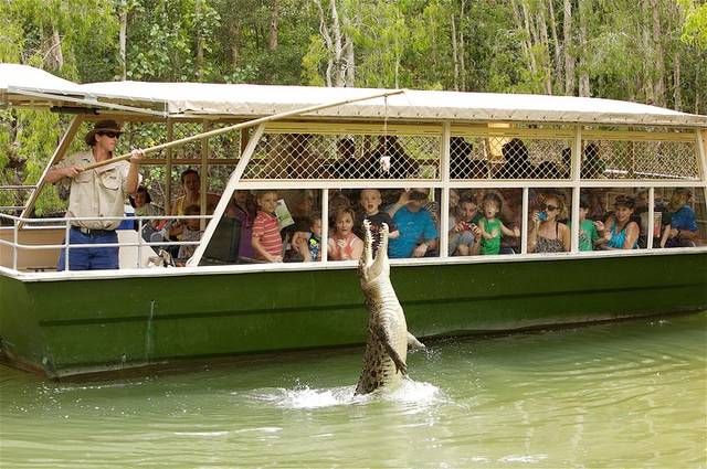 Crocodilos
