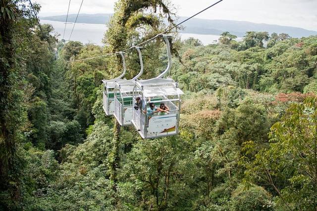 Rainforest Tram