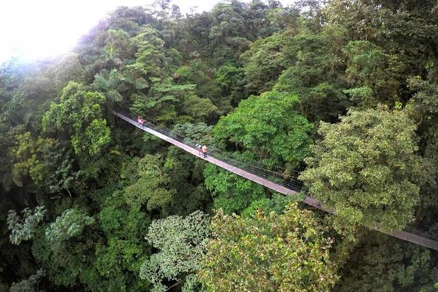 Hanging Bridges