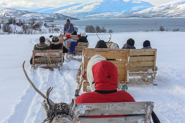 Reindeer Camp