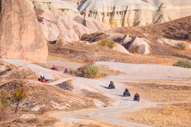 ATV Safari