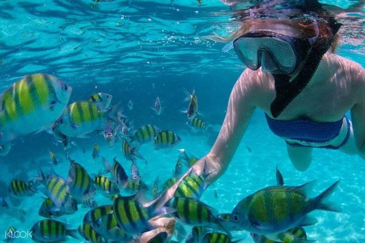 Island Hopping, Cebu