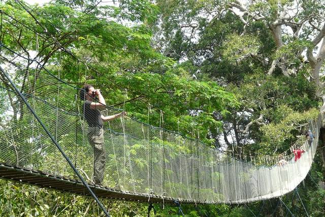 Eco Jungle Tour