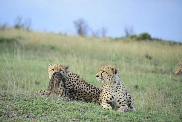Nairobi National Park