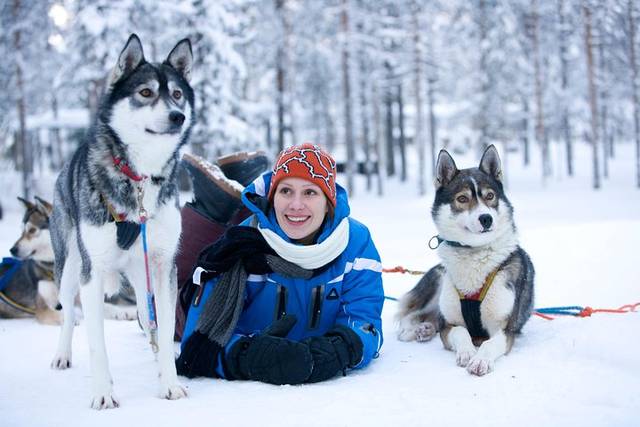 Husky Safari
