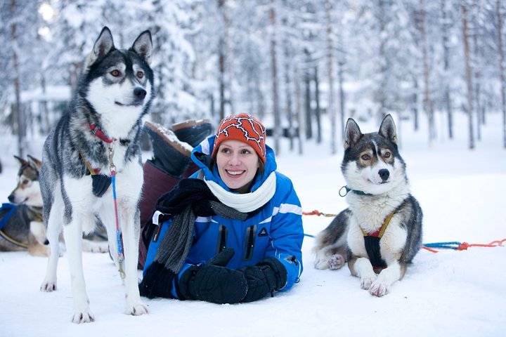 Husky safari, Rovaniemi