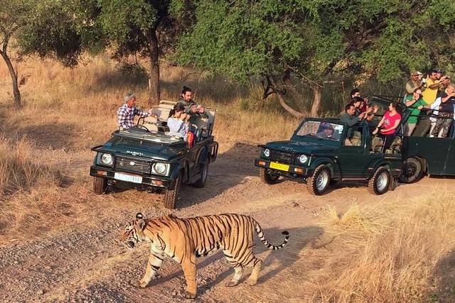 Ranthambore
