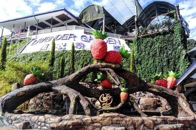 Cameron Highlands