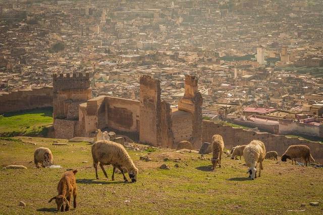 Marrakech