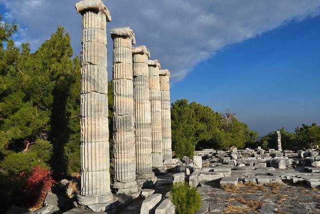 Priene & Didyma
