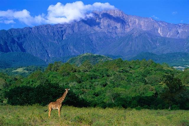 Arusha National Park