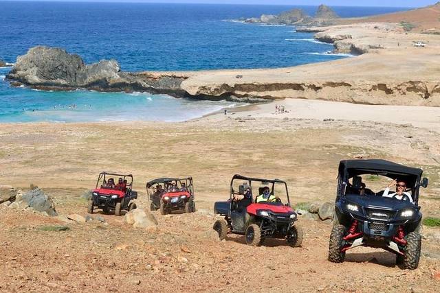 Baja Desert